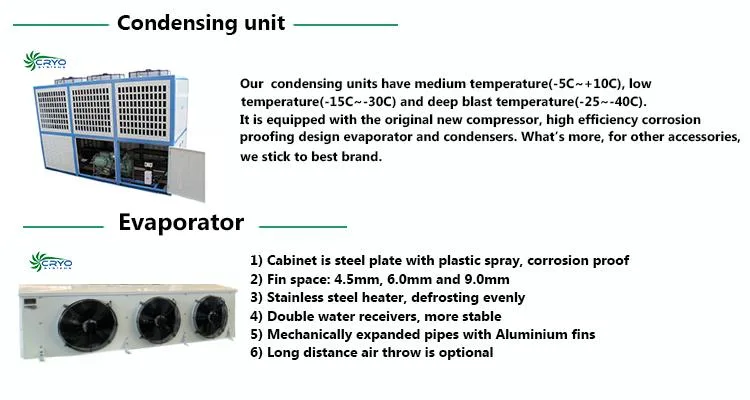 Cold Storage Prefabricated Food Cold Storage for Fresh Vegetables and Fruits