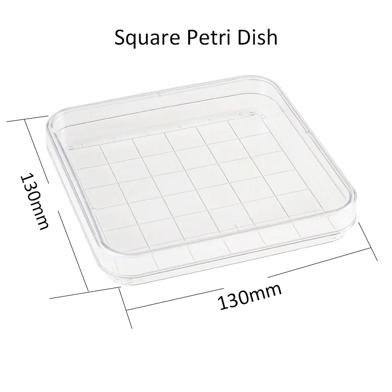 Cheap Disposable 35mm 60mm 90mm Clear Transparent Sterile Glass or Plastic 90X15mm Petri Dish