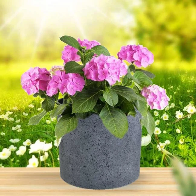 Home Decoration Plastic Flower Pot Nursery Pot Ceramic Effect Indoor Outdoor