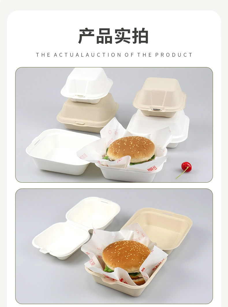 Disposable Food Container Paper Hamburger Box Sugarcane Pulp Bagasse Clamshell Box Biodegradable Tableware