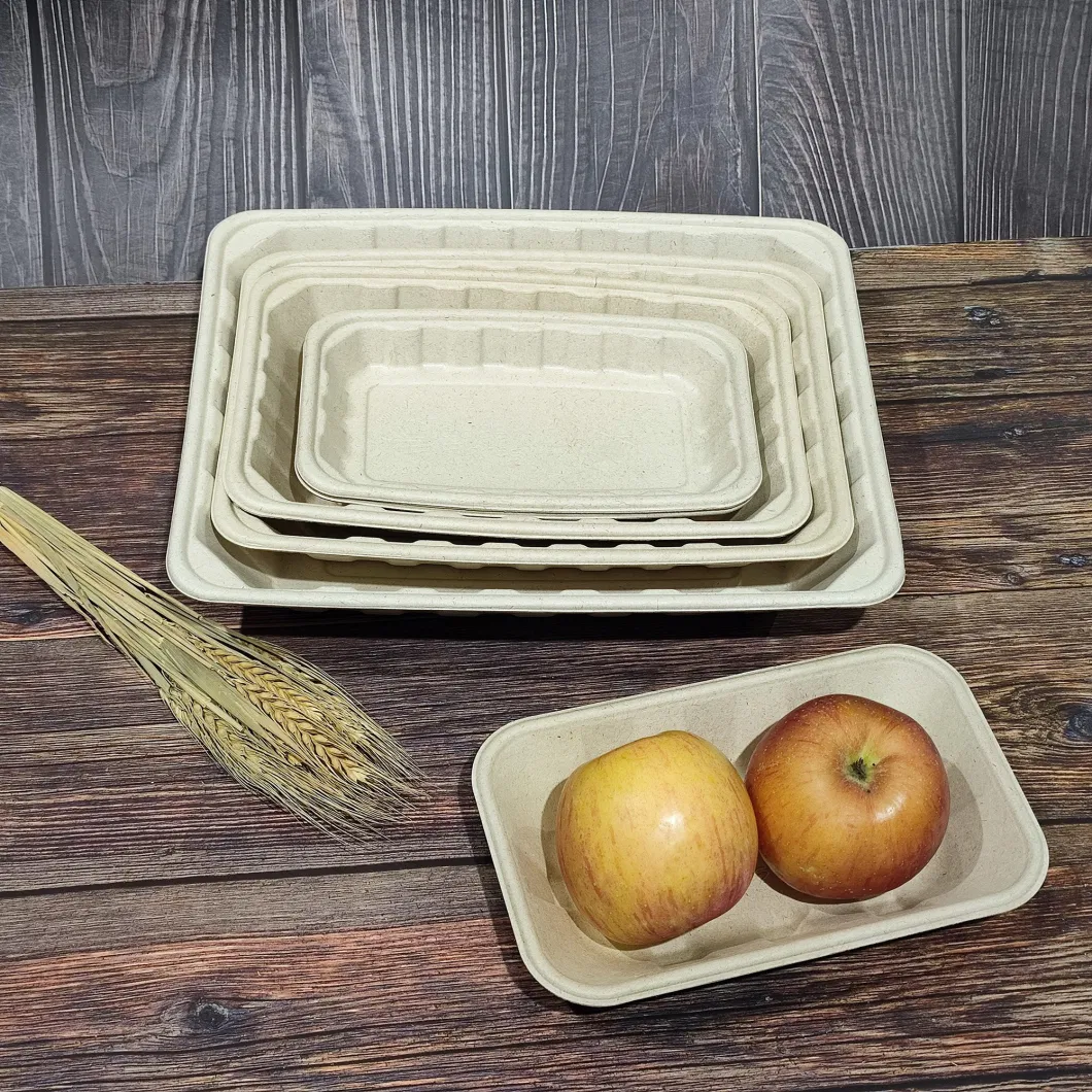 Disposable Eco Food Packaging Box Biodegradable Tableware Sugarcane Bagasse Pulp Paper Plate Luxury Dinnerware Sets with Lid