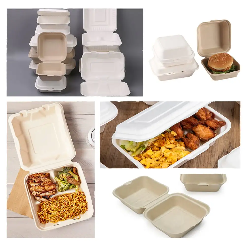 Disposable Tableware Sugarcane Bagasse Food Box 100% Compostable Pulp Tableware Biodegradable Cutlery Takeaway Food Containers