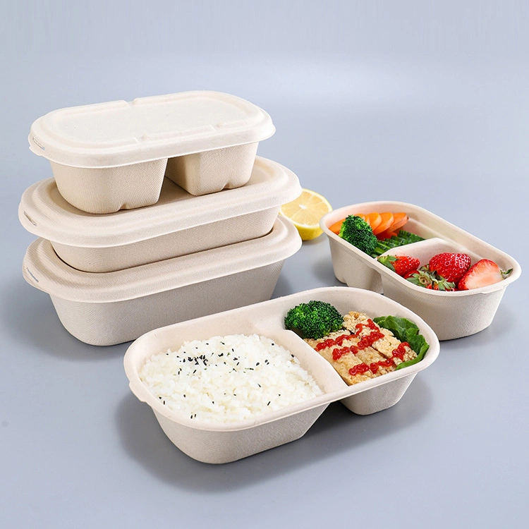 Disposable Eco Food Packaging Box Biodegradable Tableware Sugarcane Bagasse Pulp Paper Plate Luxury Dinnerware Sets with Lid