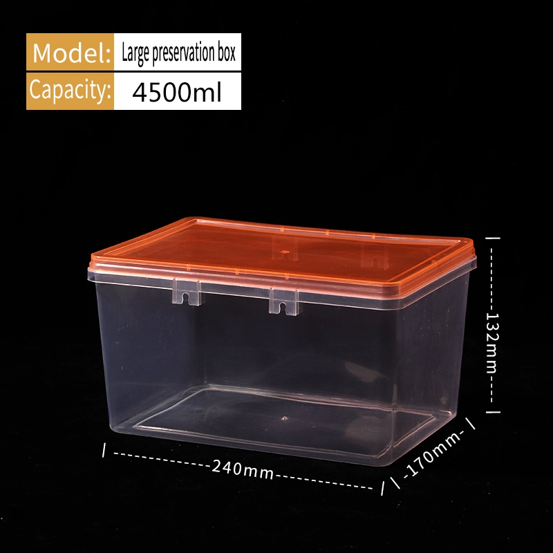 Biscuit Boxes Preservation Box PP Plastic Food Plastic Containers