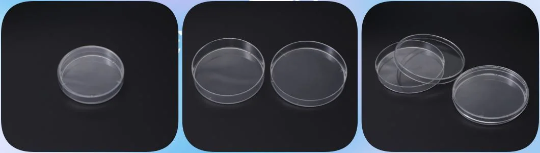 Wholesale Laboratory Lab Transparent Disposable Plastic PS Cell Culture Container Polystyrene Virus Culture Sterile Round Clear Petri Dish for Attached Cell