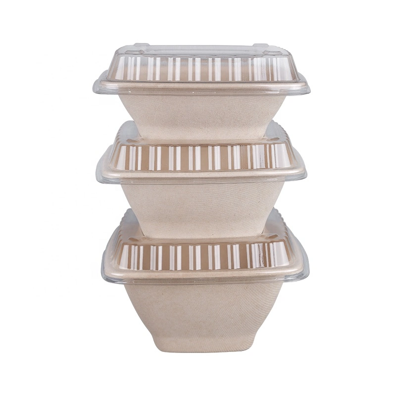 Disposable Eco Food Packaging Box Biodegradable Tableware Sugarcane Bagasse Pulp Paper Plate Luxury Dinnerware Sets with Lid