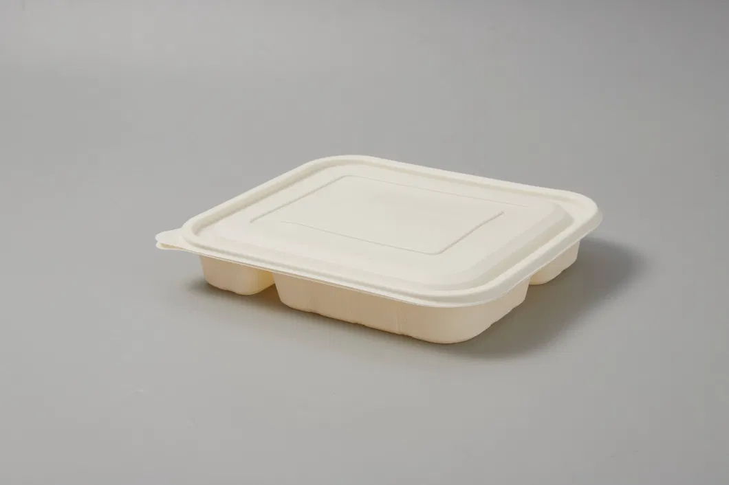 Eco-Friendly Biodegradable Food Storage Container with Lid