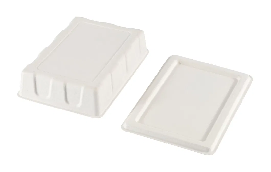 Disposable Customizable Environmental Friendly Biodegradable Tableware Food Container Plate