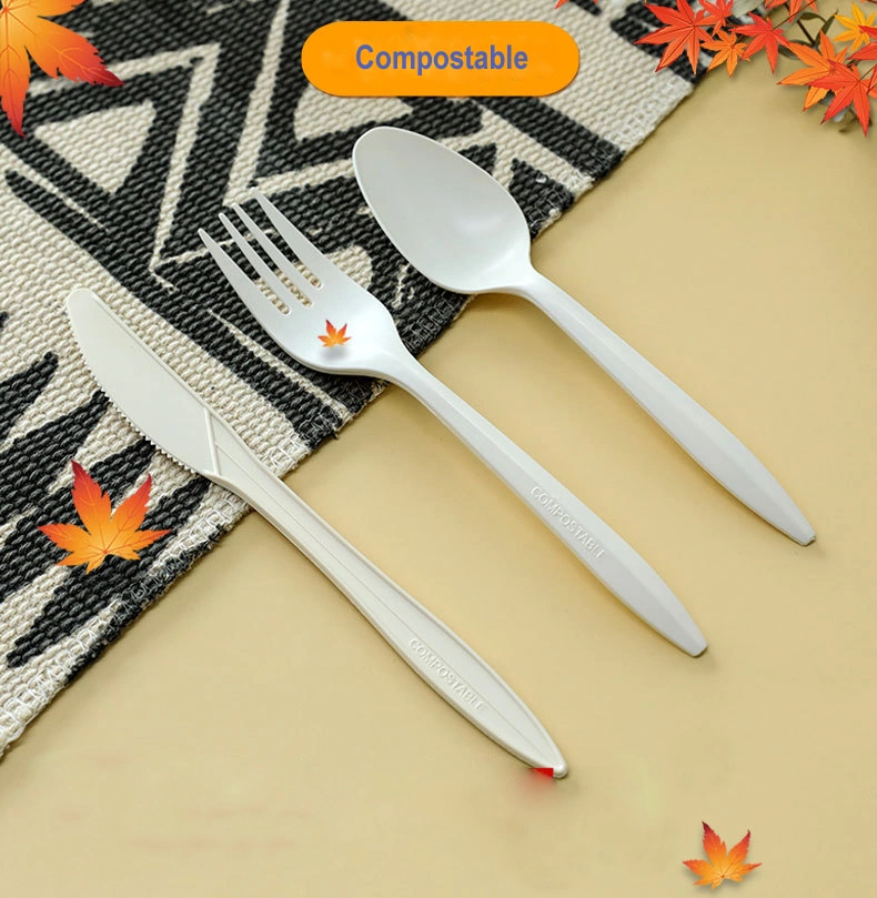 Wholesale Custom Spoon Fork Knife Set Biodegradable Bagasse Environmental Friendly Disposable Fork