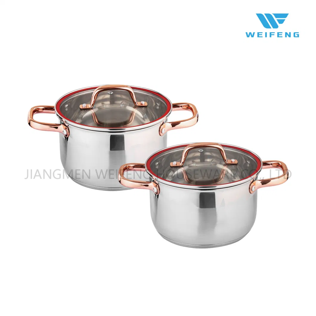 12 PCS Stainless Steel Cookware Set with Red Line G Shape Glass Lid