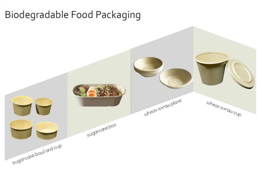 Microwavable Disposable Sugarcane/Wheat Straw/Bamboo Pulp/Firber 100% Compostable Tableware