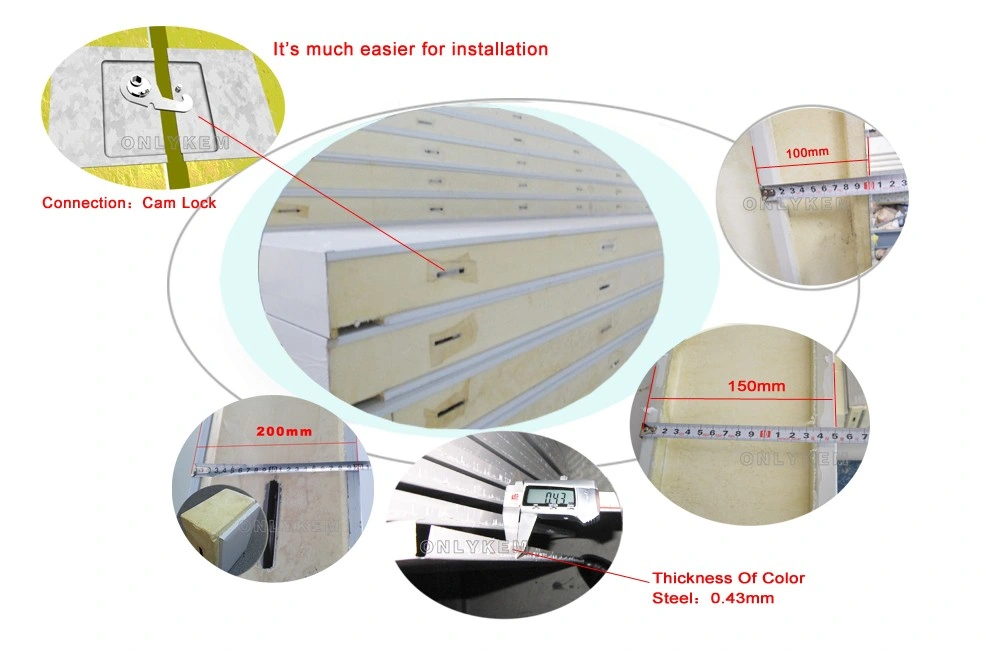 600 Square Meter Freezer Cold Room Storage for Vegetable Fruit Seafood