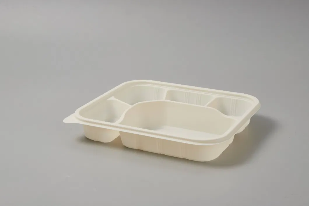 Eco-Friendly Biodegradable Food Storage Container with Lid