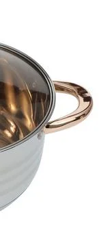 Stainless Steel Cookware Tea Glass Lid Golden Handle Pots Cookware Set