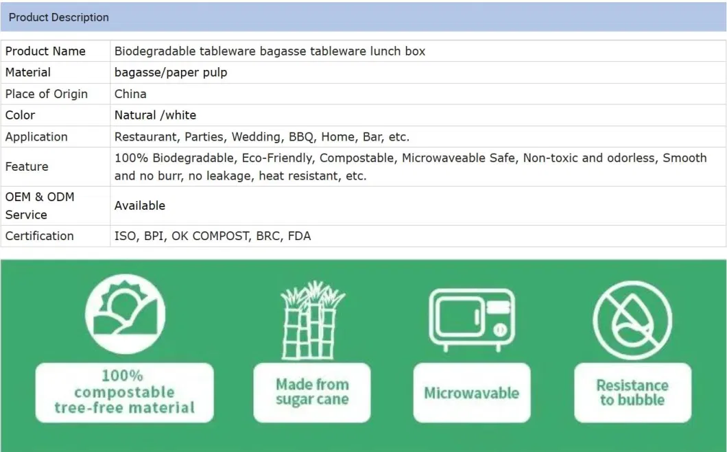 Disposable Food Container Paper Hamburger Box Sugarcane Pulp Bagasse Clamshell Box Biodegradable Tableware