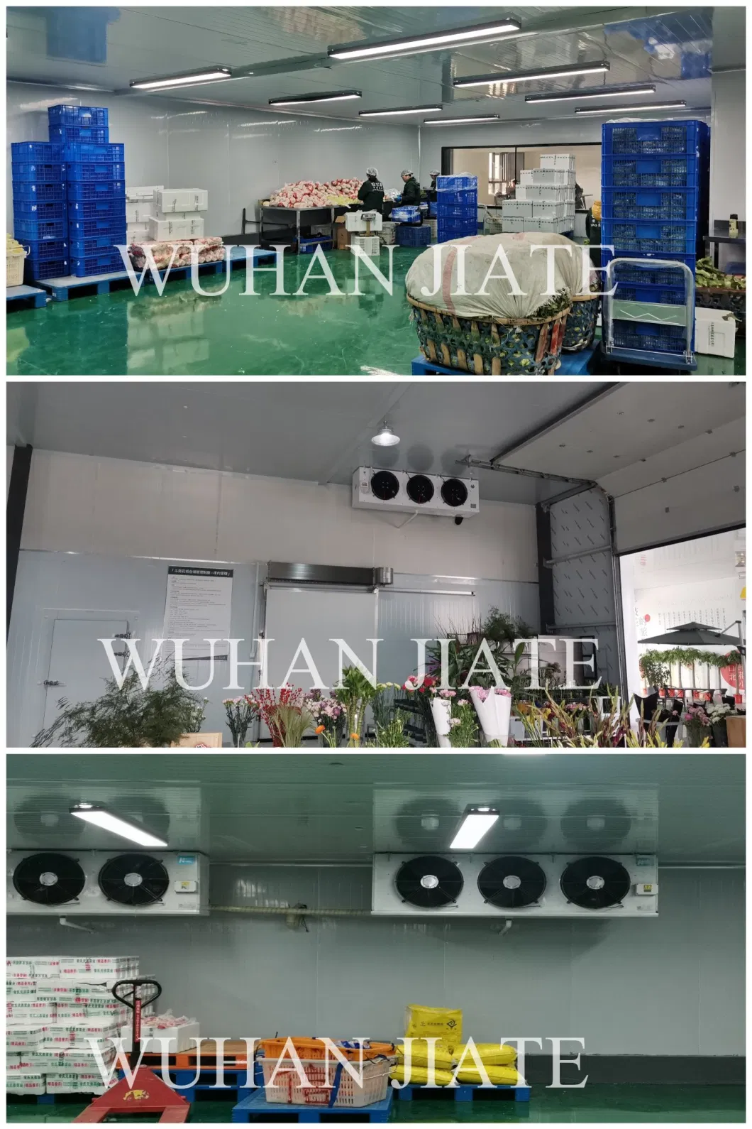 Food Process Cold Room Cooling Room Cold Storage Processing Refrigeration Warehouse Chiller