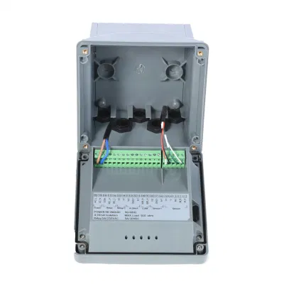 Sjg-3083 Water Treatment Acid Alkali Online Concentration Meter, Controller