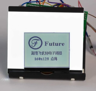 160*160 Dots LCD Screen Transflective Mono LCD Module