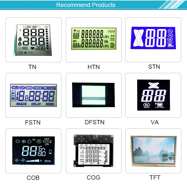 160*160 Dots LCD Screen Transflective Mono LCD Module