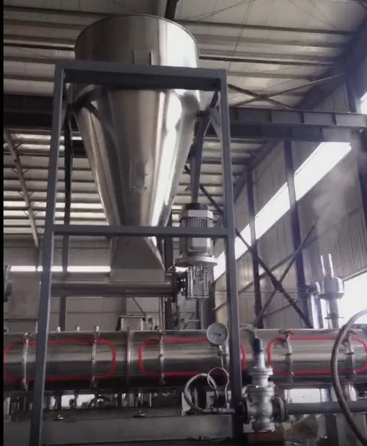 Suitable for Beginners in Entrepreneurship 10tph Automatic Poultry Animal Feed Pellet Production Line