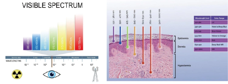 New Model 808nm Semiconductor Laser Pain Relief Device