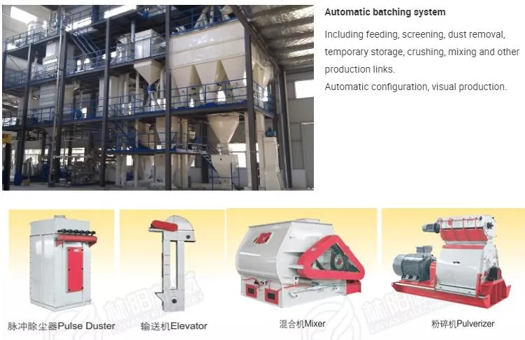 Suitable for Beginners in Entrepreneurship 10tph Automatic Poultry Animal Feed Pellet Production Line