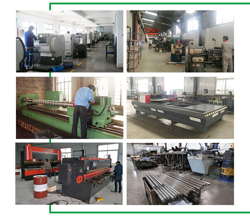 Suitable for Beginners in Entrepreneurship 10tph Automatic Poultry Animal Feed Pellet Production Line