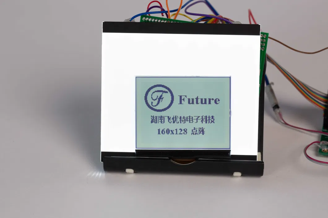 160*160 Dots LCD Screen Transflective Mono LCD Module