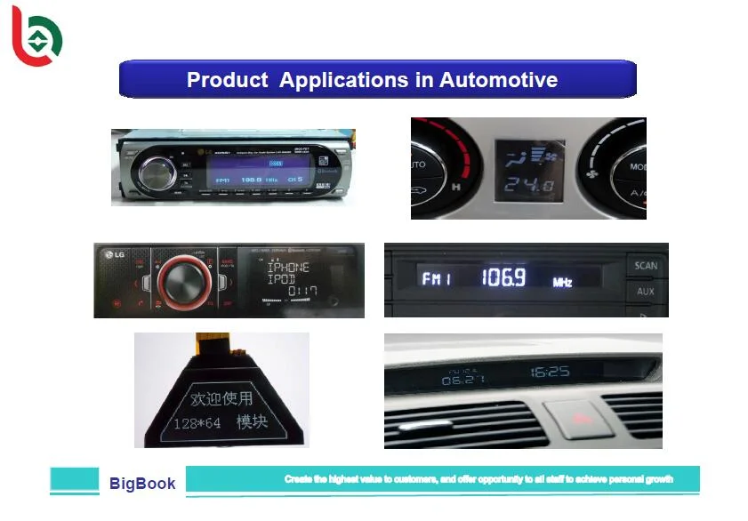 FSTN LCD Display Screen Mono Module