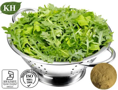 Suministro de fabricación Arugula Sativ Natural Extracto de Eruca molino