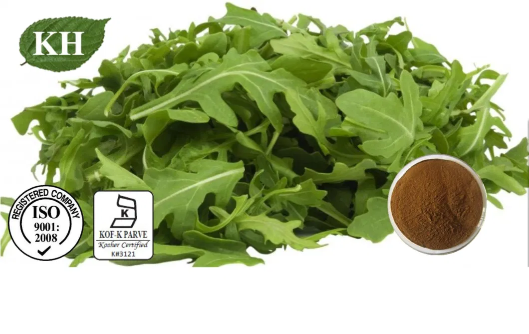 Manufacture Supply Natural Arugula Extract Eruca Sativ Mill