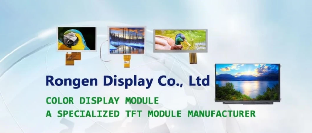 Rg240128-5129tp Ronen 5.1 Inch 240*128 Resolution with Touch Screen Stn LCD Module