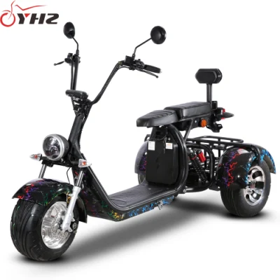 Us Warehouse Delivery to Door Electric Scooter 2000W Three-Wheel Bicycle EEC DOT