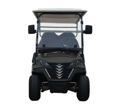 Dachi High Performance Customized Golf Buggy Electric Forge G4+2 Golf Cart Lithium Battery