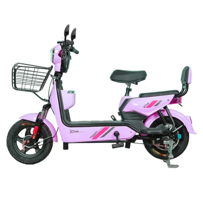 Adult Electric Bike for Sale China Factory