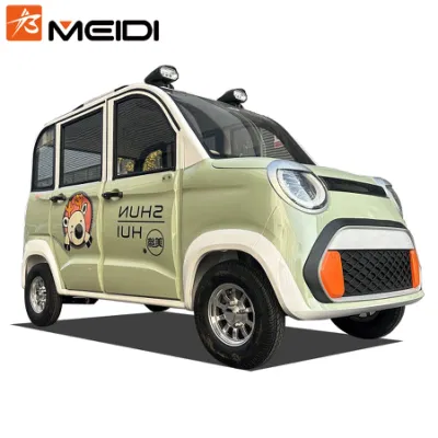  3 Wheels Adult Big Wheel Tricycle Electric Bike with Cover