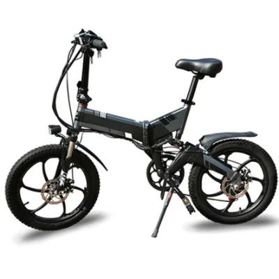 36V Ebike Battery Bicycle Electric Bike 20inch E Cycle Hub Motor Electric Bike