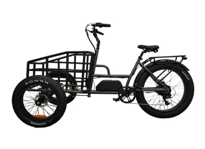 Brand New Model 48V 750W Electric Fat Tire Tricycle for Adult
