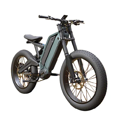 24 Inch 48V 15ah 10ah 9 Speed Cycle Aluminum Alloy Fat Tire 1000W Electric Bike