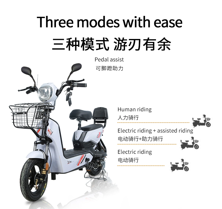 Wholesale Adults Electric Motorcycles Electric Bike Scooters for Sale