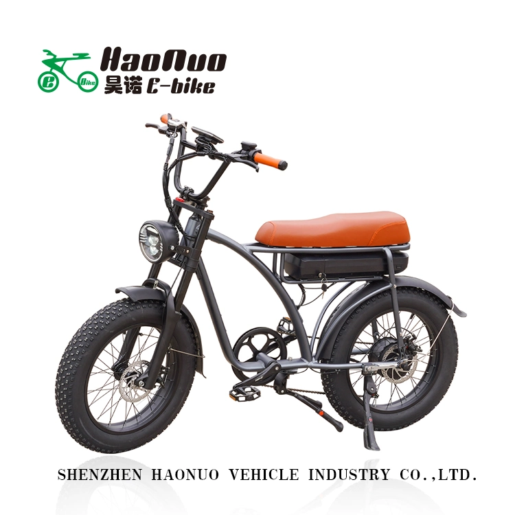 2023 New Model 26 Inch 48V 500watt Electric Bicycle