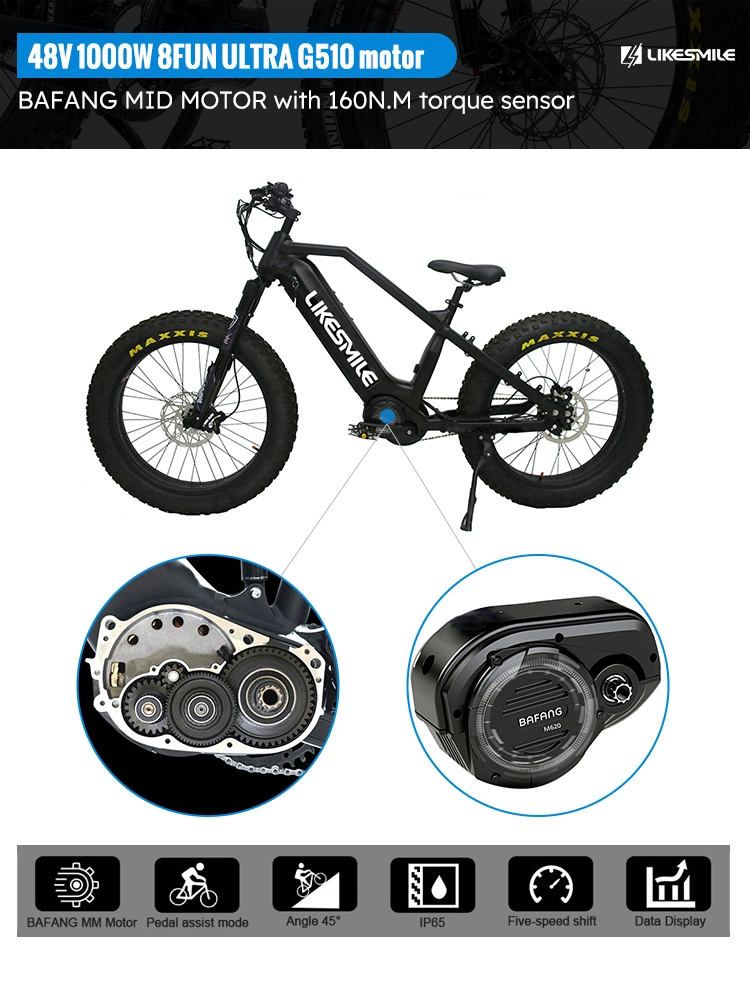 Likesmile Motor 48V 1000W off-Road Motorcycles Adult Electric Dirt Bike