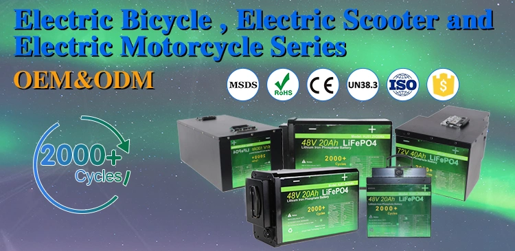 High Safety Ebike Electric Scooter Battery 48V 20ah Li Ion Batteries LiFePO4 Lithium Ion 48 Volt with BMS