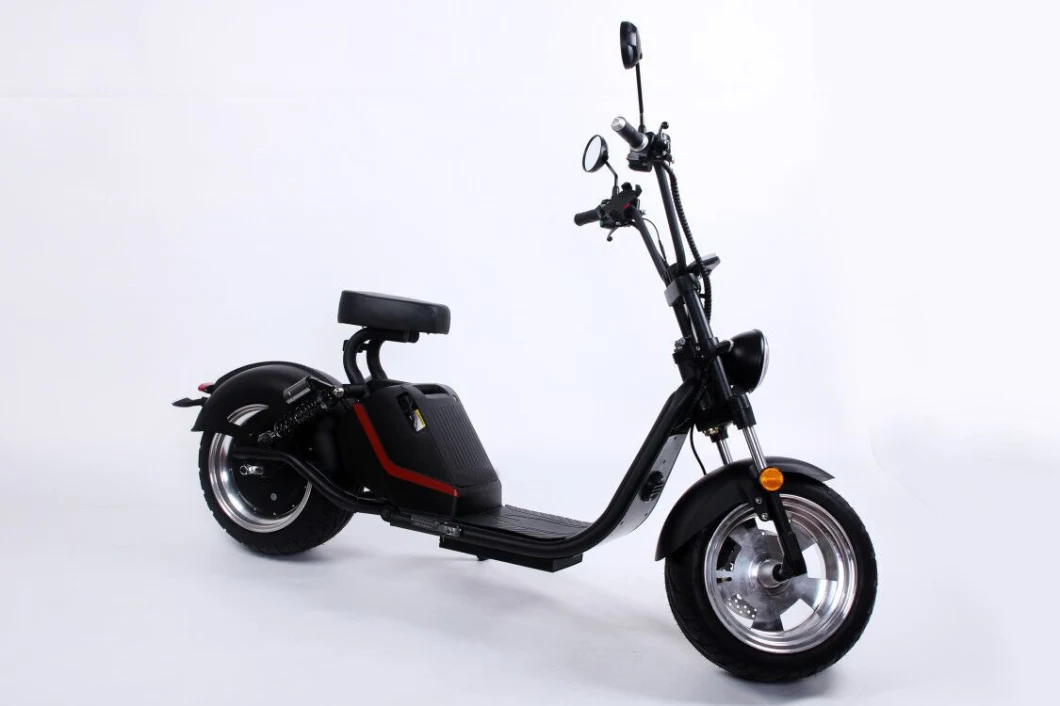 China Luqi Conversion Kit 3000W Electric Bicycle China with Removable Battery