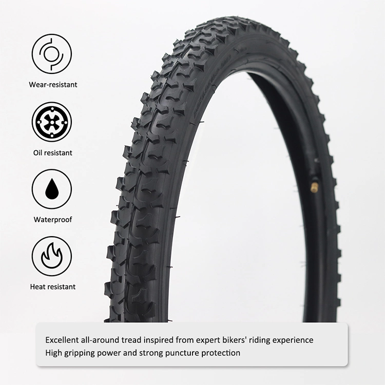 Electric Bike Tire Fat Tire 1000W 500 Lithium Battery Electric Mountain Bike Electric Bike Tire