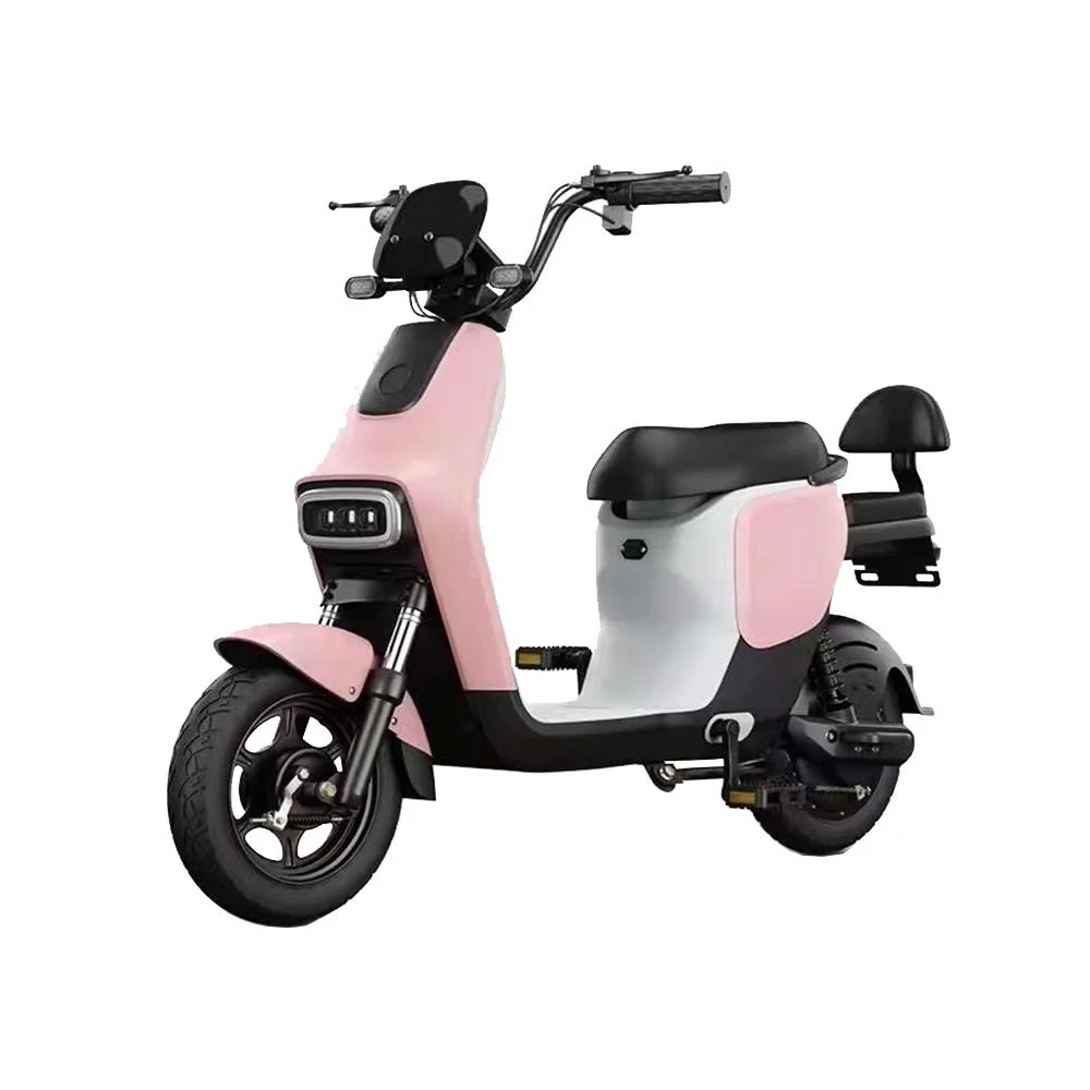 Tjhm-010dd Electric Vehicle 48V Bicycle Adult Male and Female Battery Car with Pedal Can Be Labeled E-Scooters E-Bike for Adult