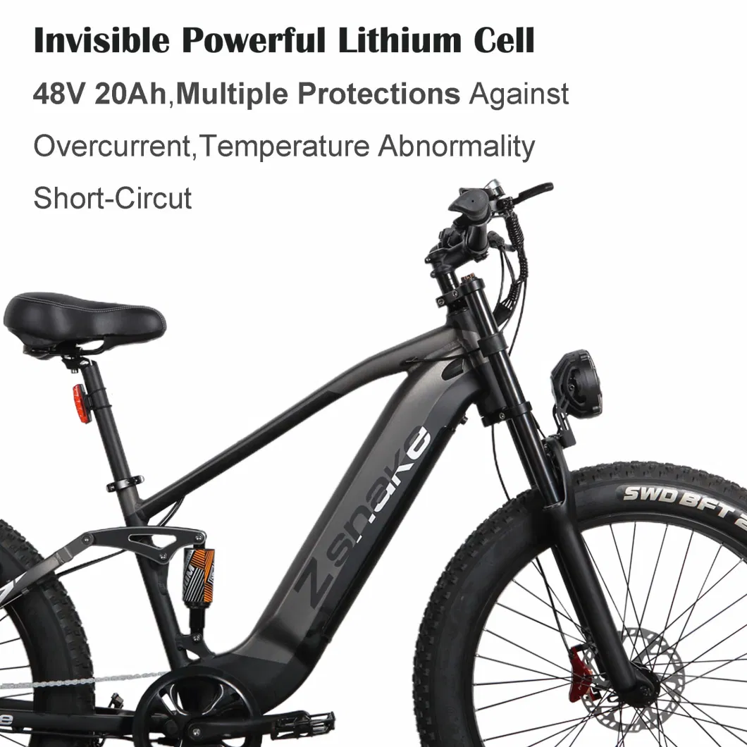 750W 48V 20ah Lithium Battery Electric Bike Durable High Quality Safety Electric Adult Dirt Bicycle