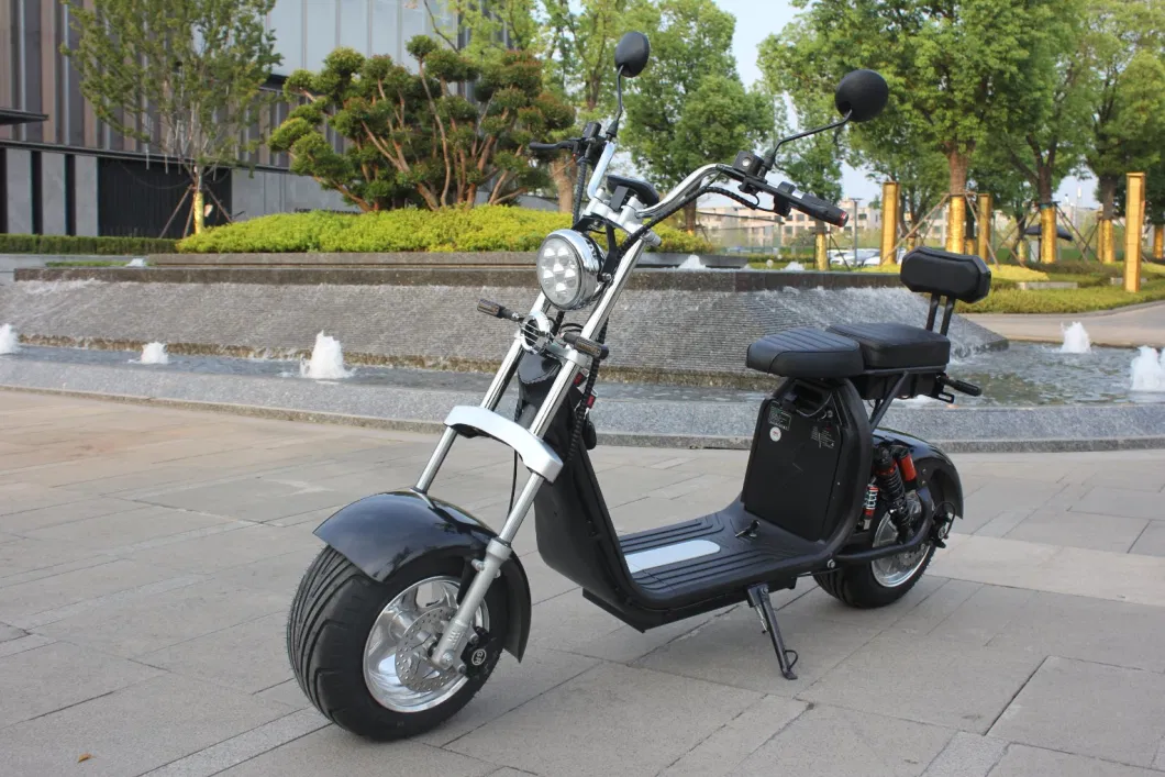 EEC/Coc Electric Mobility Bike Scooter Folding Motor Electric Scooter