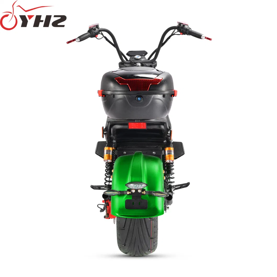 New Style Europe Road Legal Electric Bike 2000W Adult Chopper with EEC