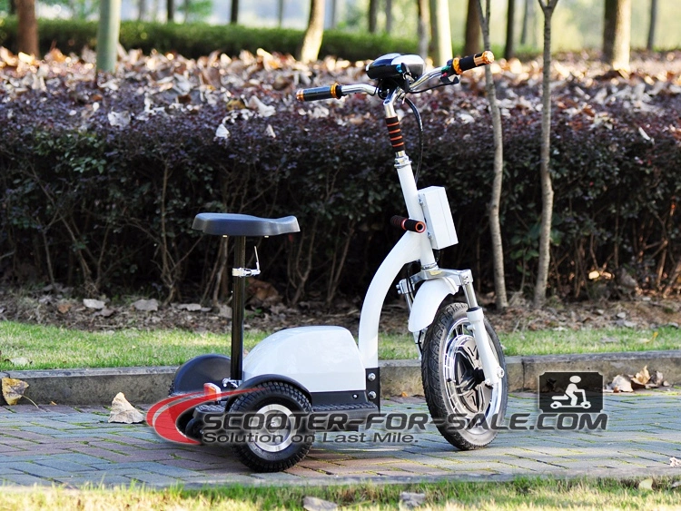 500W 800W 1000W Electric Tricycle 3 Wheeled Scooter